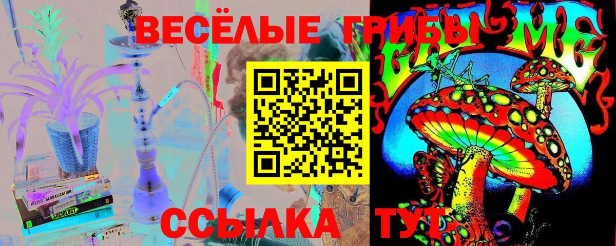 Псилоцибиновые грибы Cubensis  как найти закладки  Качканар  Вход с VPN 